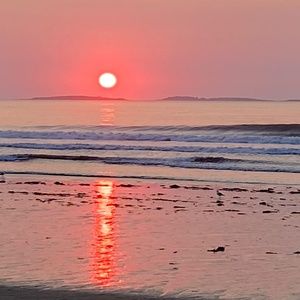 Meet your Posher, Deb